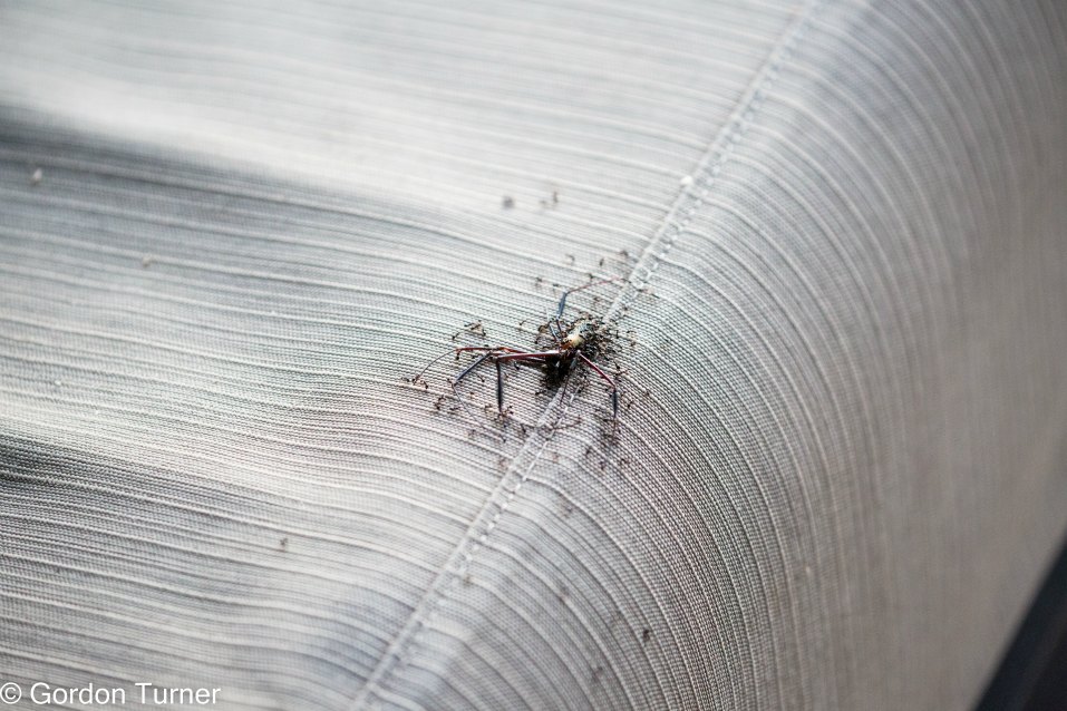 <h2>The Best of South Africa Escorted 2023</h2> 14 Nights | 6 Rounds | March 11 - 25